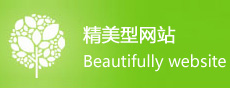 精美型網(wǎng)站建設(shè)
